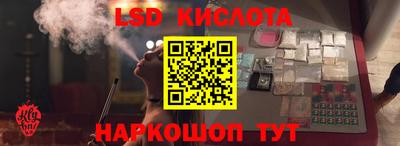 шишки Обь