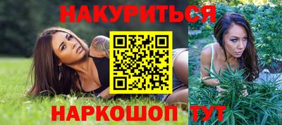 шишки Обь