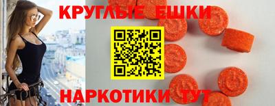 шишки Обь