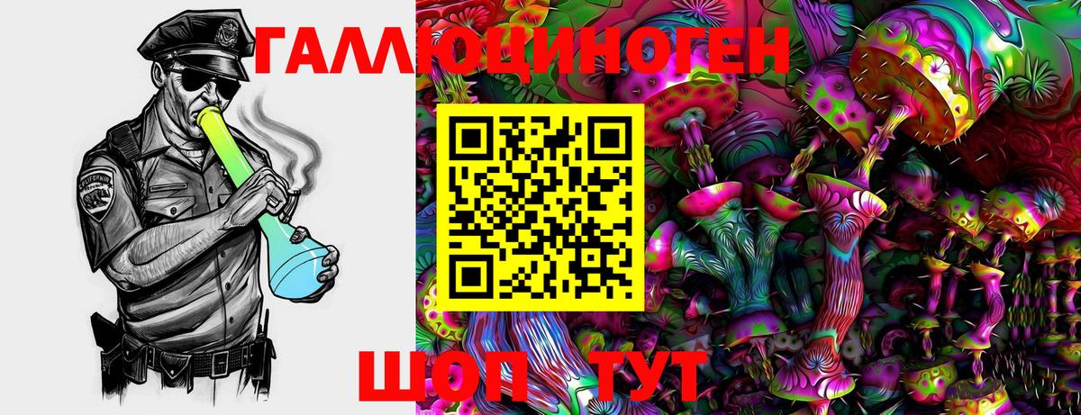 Галлюциногенные грибы Psilocybine cubensis  Вход с VPN  Сердобск 