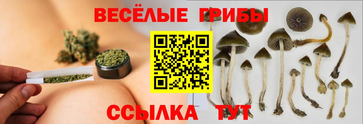 Псилоцибиновые грибы Psilocybine cubensis Сердобск